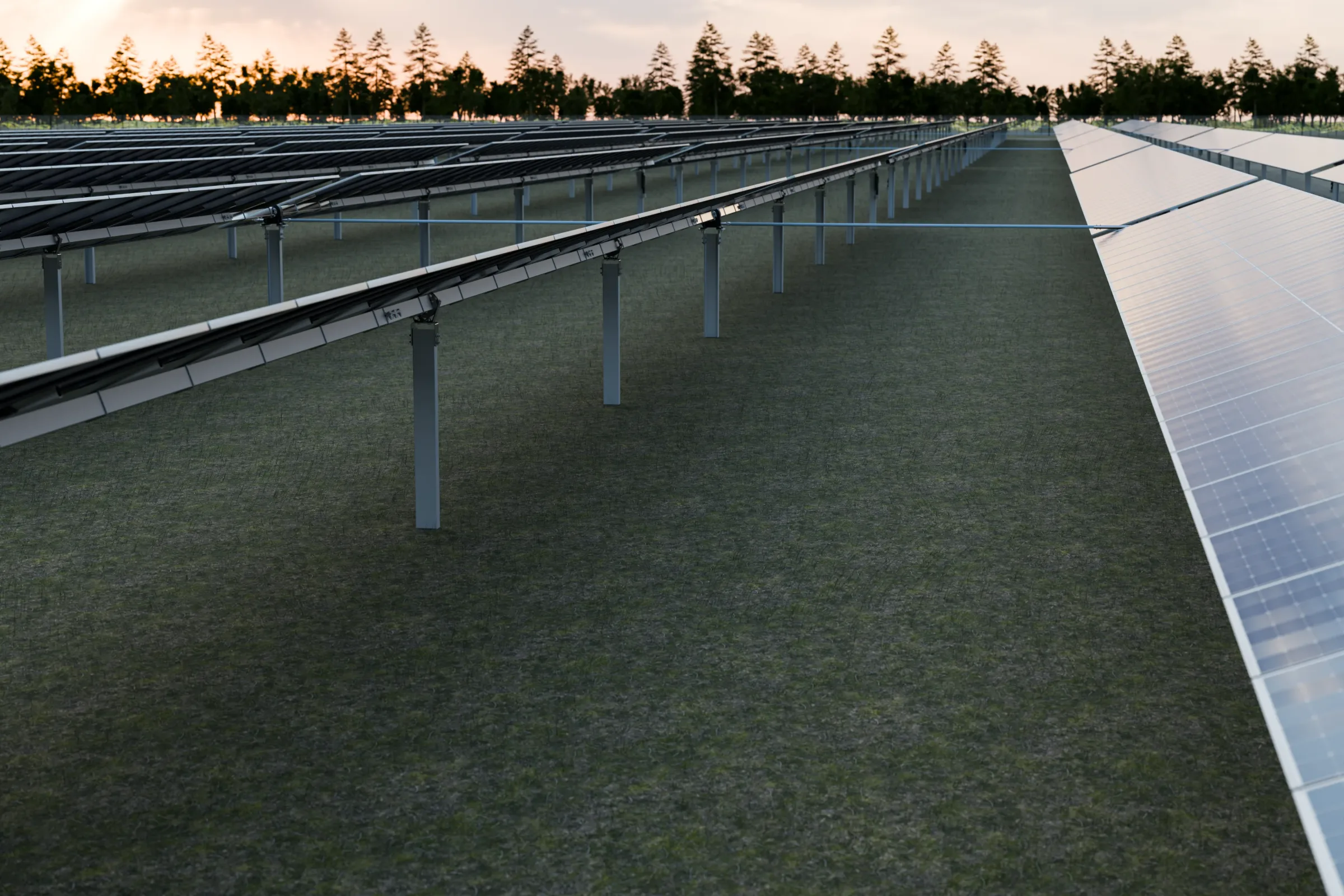 Track-Max120 single-axis tracker rows